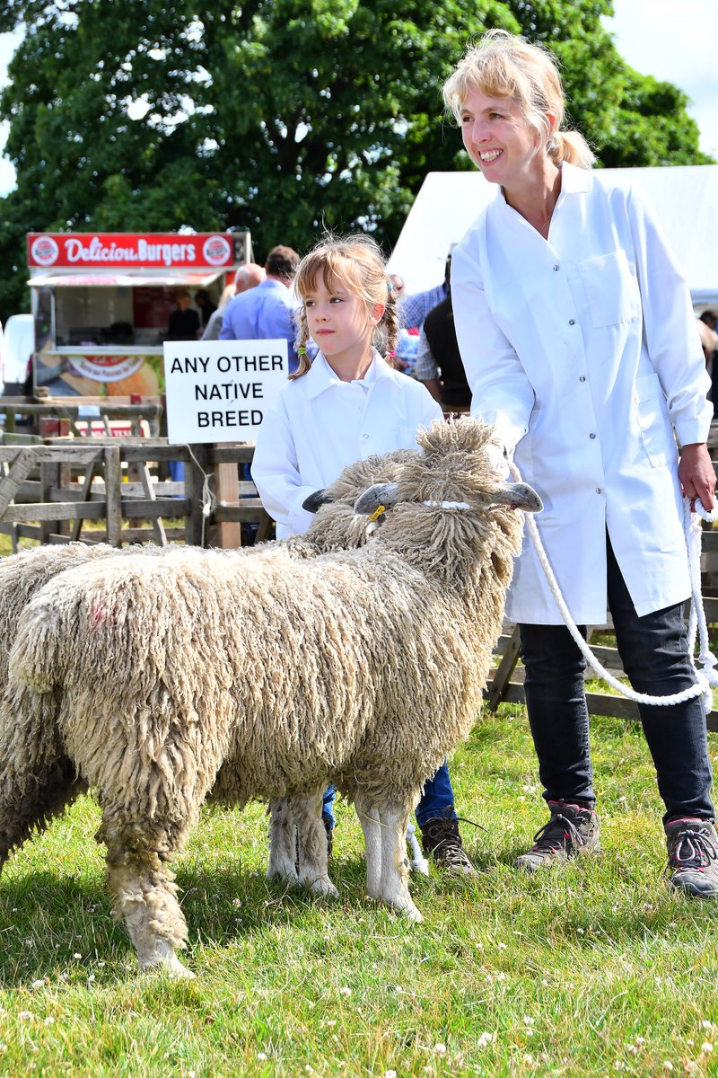 The Malton Show